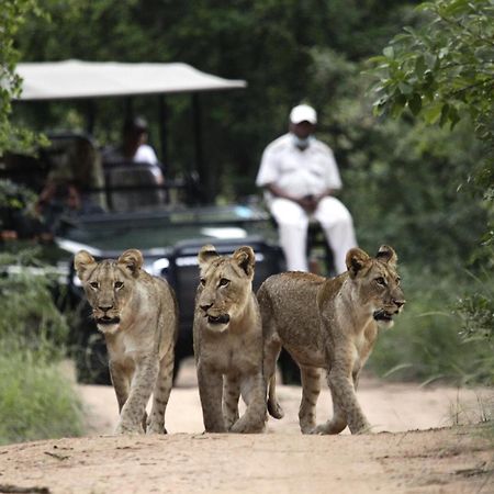 Karongwe Portfolio - Kuname Lodge Karongwe Game Reserve Buitenkant foto